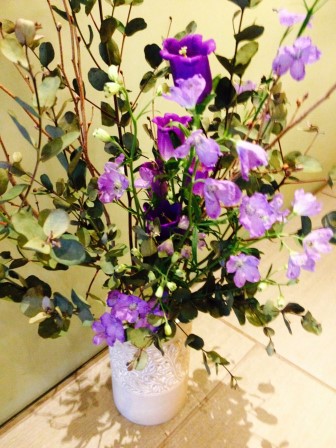 デルフィニゥム・カンバネラ