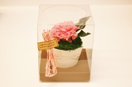 プリザーブドフラワーも販売いたします！母の日にも製造直売はいかがでしょうか